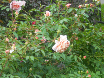 Similar image 22666318