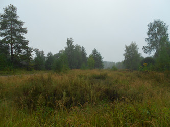 Similar image 22666319
