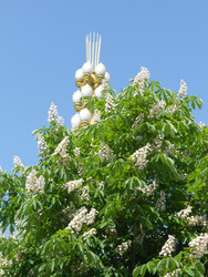 Similar image 22666305