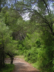 Similar image 22666320