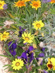 Similar image 22673416