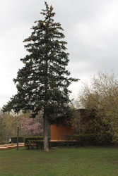 Similar image 22670016