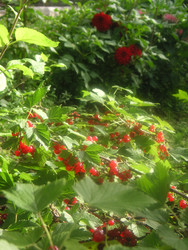 Similar image 22666306