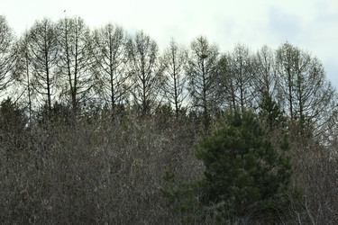 Similar image 22679168