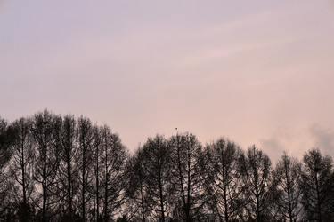 Similar image 22679170