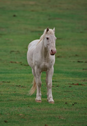 Similar image 22734730