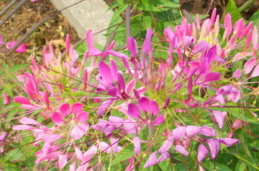Similar image 22673418