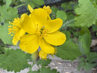 Similar image 22669843