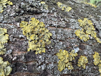 Similar image 22669846