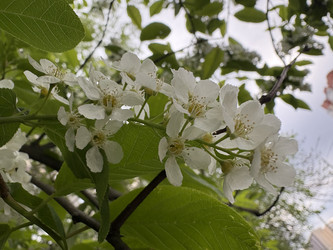 Similar image 22669815