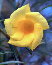 Similar image 22673362