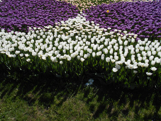 Similar image 22669797