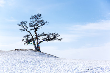 Similar image 22669698