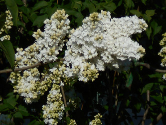 Similar image 22669798