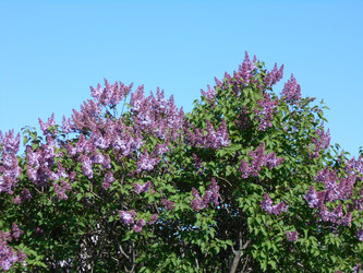 Similar image 22669801