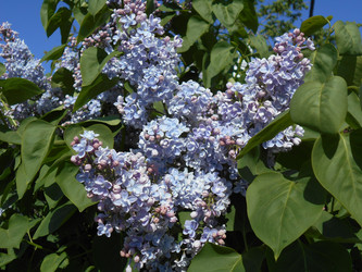 Similar image 22669802