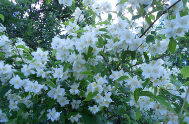 Similar image 22669803
