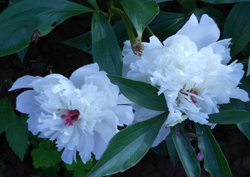 Similar image 22669805
