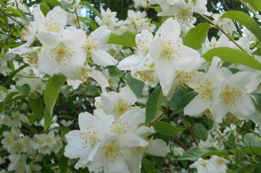 Similar image 22669807