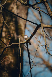 Similar image 22673316