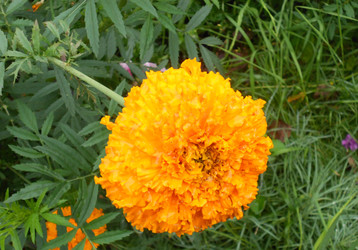 Similar image 22669822