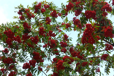 Similar image 22670018