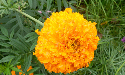 Similar image 22669823