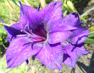 Similar image 22673422