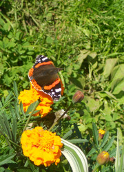 Similar image 22673393