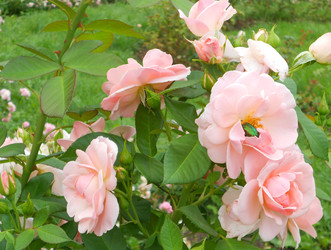 Similar image 22673400