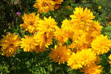 Similar image 22673424