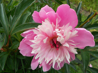 Similar image 22673426