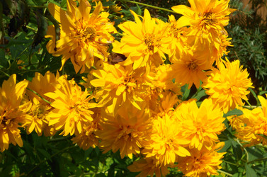 Similar image 22673429