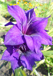 Similar image 22673431