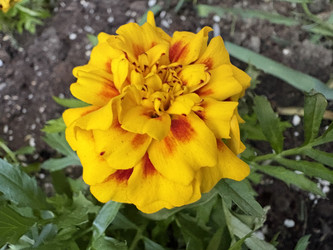Similar image 22679344