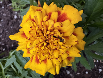 Similar image 22679359