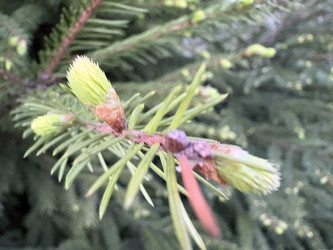 Similar image 22679360
