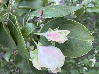 Similar image 22671726