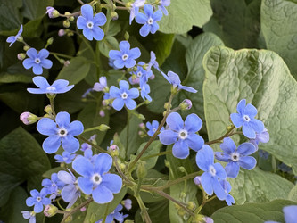 Similar image 22679373