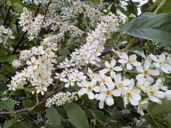 Similar image 22679374