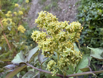 Similar image 22679375