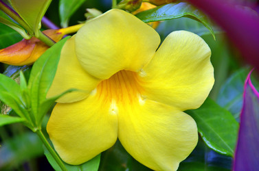 Similar image 22682271