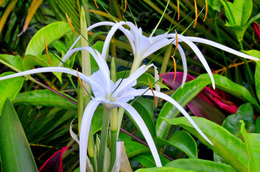Similar image 22682273