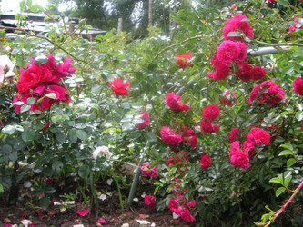 Similar image 22673407