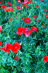 Similar image 22694079