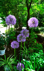 Similar image 22694087