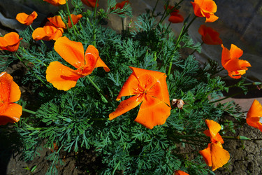 Similar image 22694088