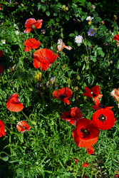 Similar image 22694089
