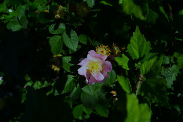 Similar image 22694090