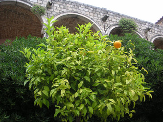 Similar image 22673409